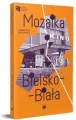 Mozaika. Bielsko-Biała - tantis.pl