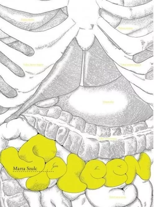 Spleen - tantis.pl