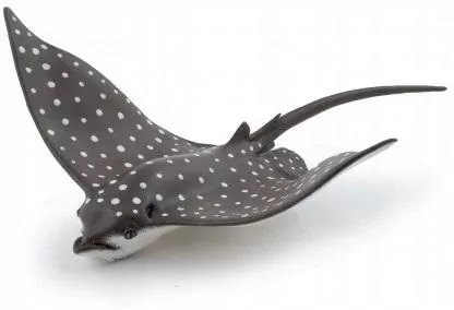 Orleń cętkowany - tantis.pl