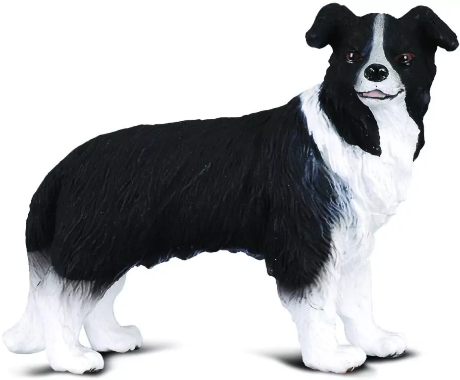 Collecta. Pies Border Collie - tantis.pl