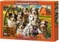 Puzzle 1000 Happy Dogs In The Countryside CASTOR - tantis.pl
