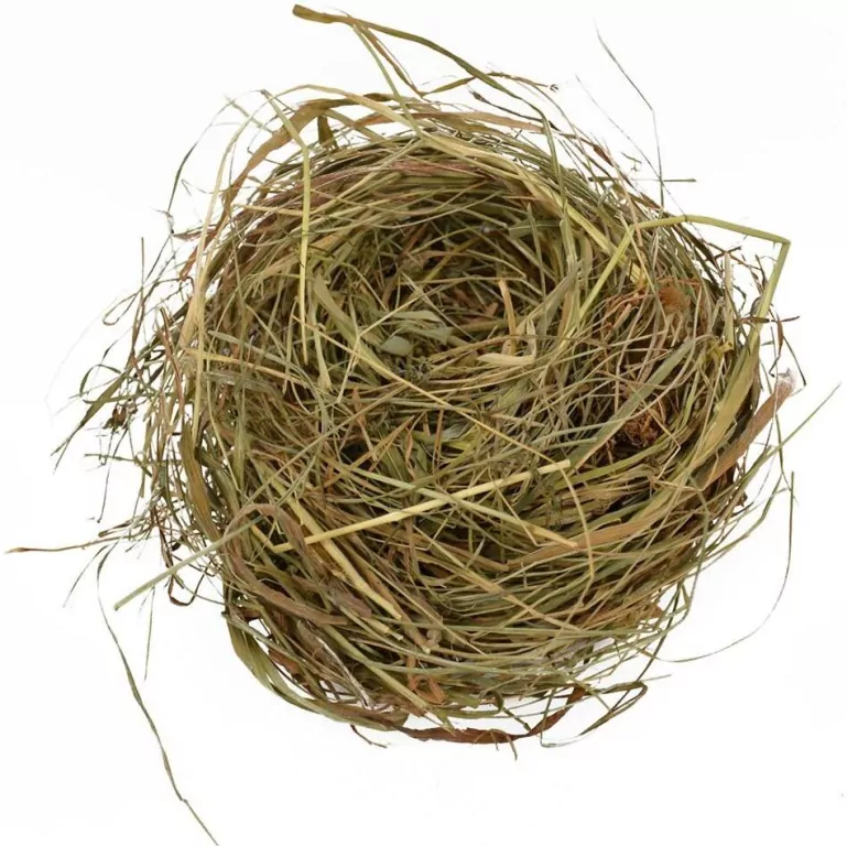 Sianko na stół wigilijny - tantis.pl