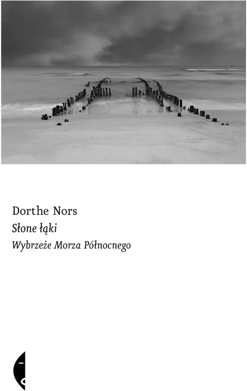 Słone łąki. Wybrzeże Morza Północnego - tantis.pl