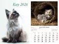 Kalendarz 2026 ścienny Koty - tantis.pl