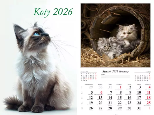 Kalendarz 2026 ścienny Koty