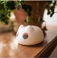Lampka nocna LED kotek - tantis.pl