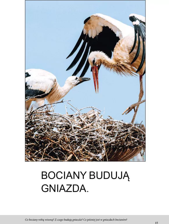 Wiosna. Bardzo proste czytanki dla dzieci - tantis.pl