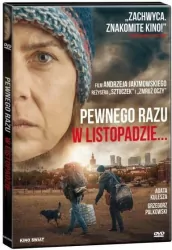 Pewnego razu w listopadzie DVD