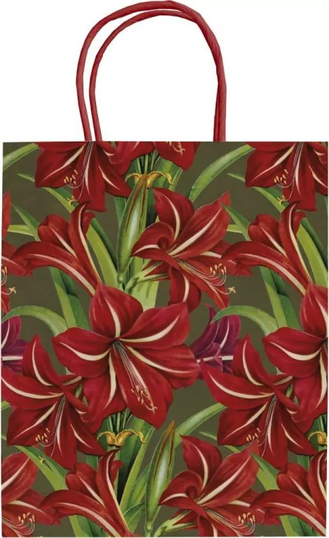 Torebka ozdobna A5 STBAG147 Gwiazda Betlejemska BN - tantis.pl