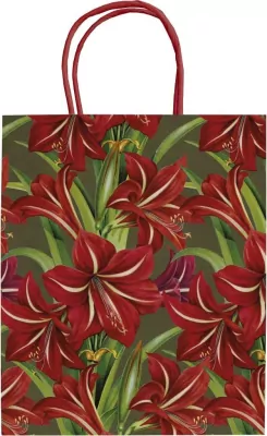 Torebka ozdobna A5 STBAG147 Gwiazda Betlejemska BN