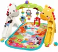Fisher-Price Przyrząd gimnastyczny CCB70 p2 MATTEL - tantis.pl