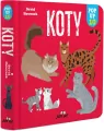 Koty. POP-UP 10 - tantis.pl