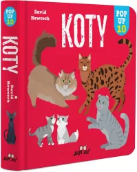Koty. POP-UP 10