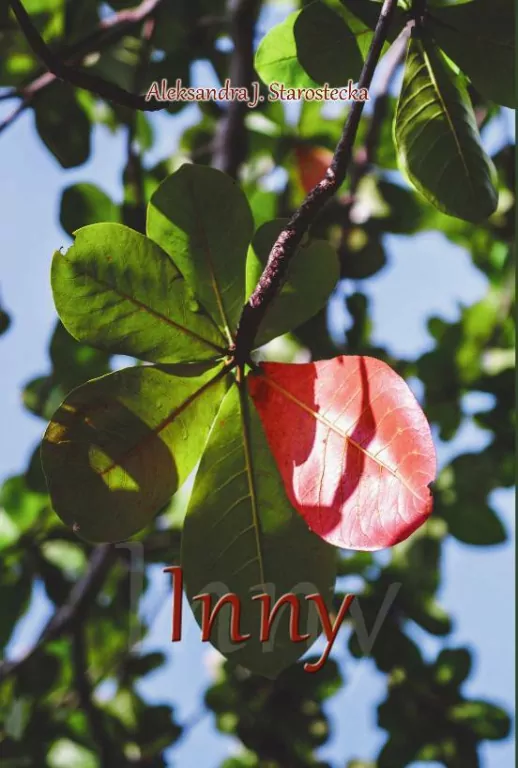 Inny - tantis.pl