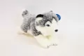 Pies Husky 27cm - tantis.pl