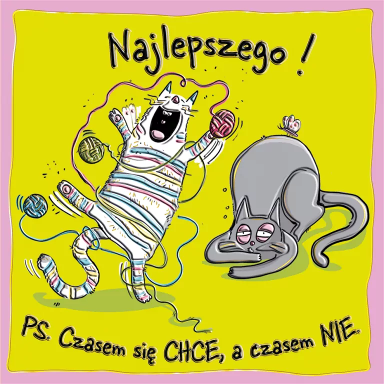 Karnet KW Kotki i psotki - tantis.pl