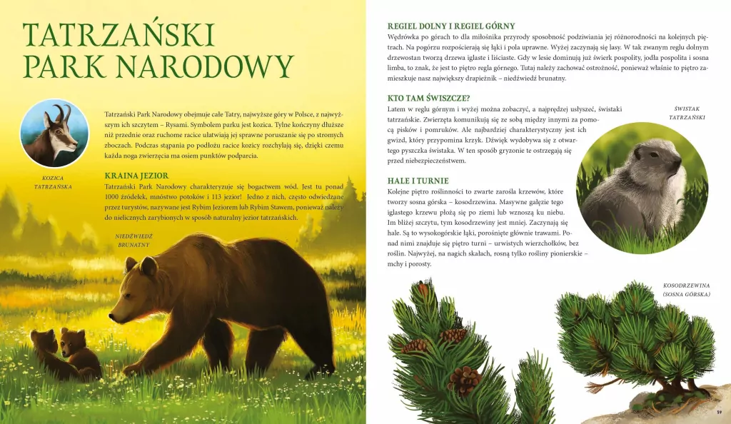 Parki narodowe. Symbole polskiej przyrody - tantis.pl