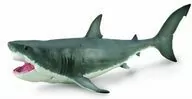 Megalodon