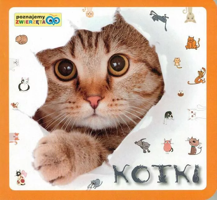 Kotki. Poznajemy zwierzęta - tantis.pl