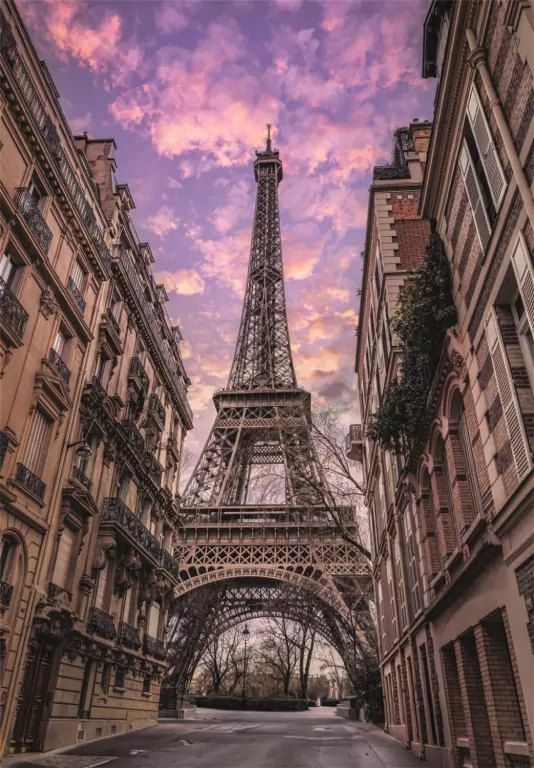 Puzzle 1500 Paris Awakens - tantis.pl