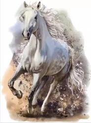 Diamentowa mozaika Biały koń NO-1009428