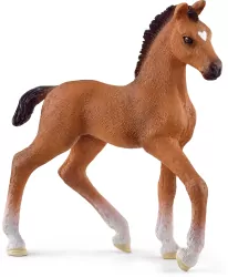 Źrebię oldenburskie 13947