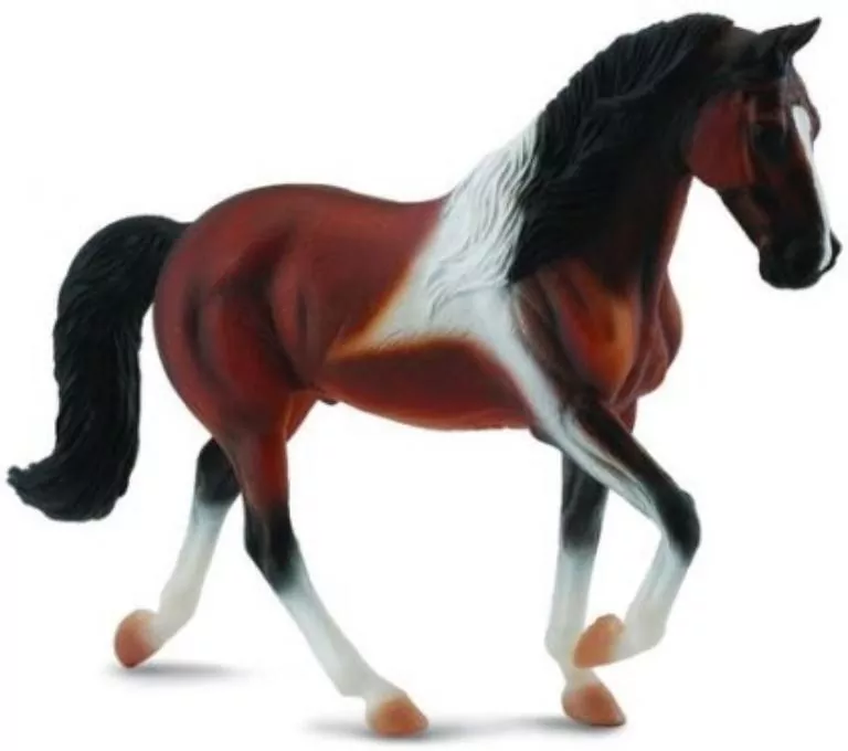 Klacz rasy Stallion Bay Pinto - tantis.pl