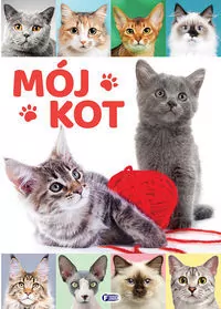 Mój kot - tantis.pl