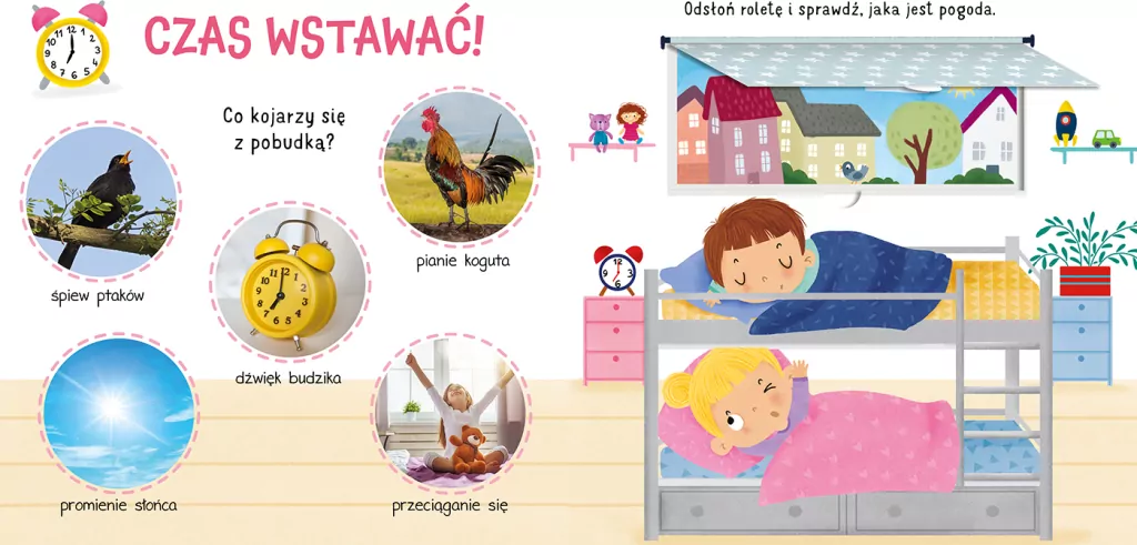 To mój dzień. Odkrywam świat. Książka z okienkami - tantis.pl