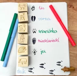 Stemple. Ślady w lesie