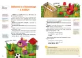 Bajki logopedyczne misia API. 2-4 lat. Ładnie składnie - tantis.pl
