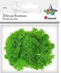 Mech chrobotek jasnozielony 20g