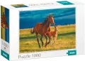 Puzzle 1000 Teaching the foal - tantis.pl