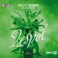 Tancerze T.3 Zespół audiobook - tantis.pl