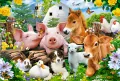 Puzzle 40 maxi - Farm Friends - tantis.pl