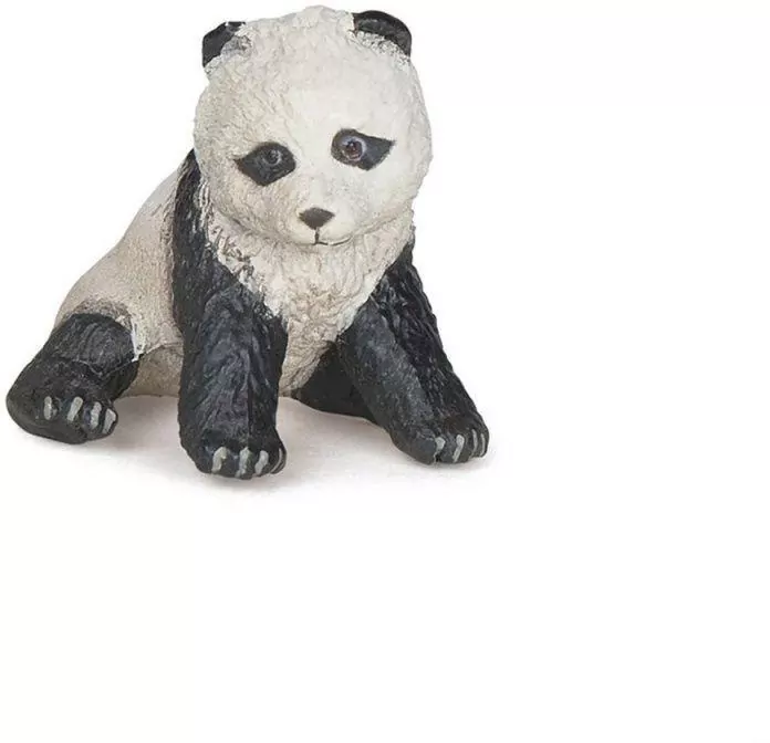 Panda młoda - tantis.pl