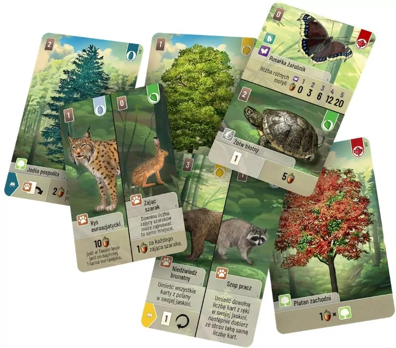 Leśne rozdanie - tantis.pl