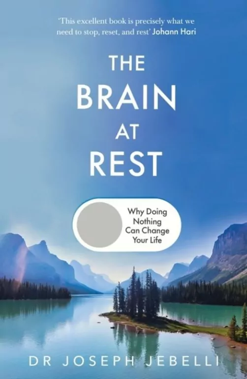 The Brain at Rest wer. angielska - tantis.pl