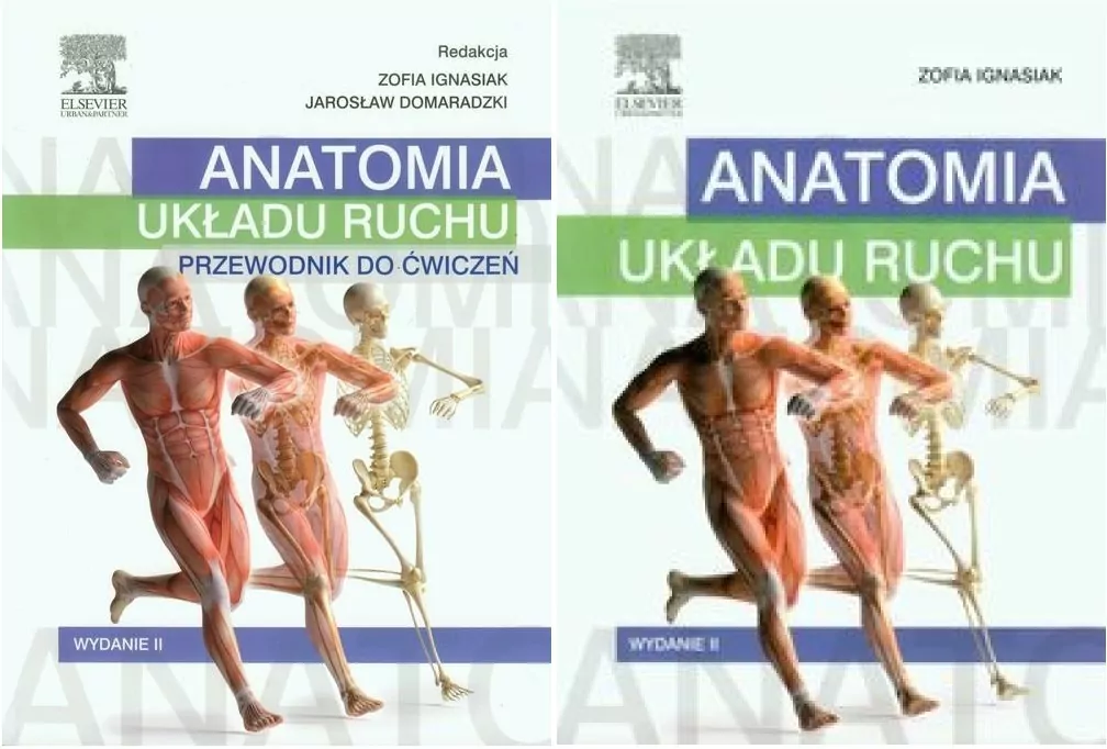 Pakiet : Anatomia układu ruchu/ Przewodnik do ćwiczeń - tantis.pl