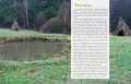 Dzika kuchnia - tantis.pl