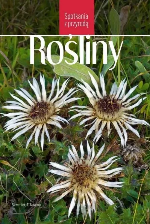 Rośliny. Spotkania z przyrodą - tantis.pl