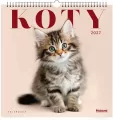 Kalendarz 2027 ścienny Koty 33x33 - tantis.pl