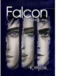 Na rozstaju dróg. Falcon. Tom 2