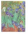 Notatnik linia Van Gogh's Irises ultra - tantis.pl