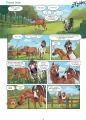 Koń by się uśmiał. Ale jazda. Tom 1 - tantis.pl