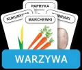 Komlogo, karty logopedyczne, Rozwijamy mowę i myślenie dziecka, Warzywa - tantis.pl