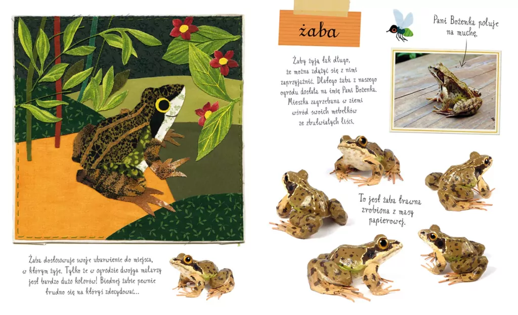 Mały atlas zwierzaków Ewy i Pawła Pawlaków - tantis.pl