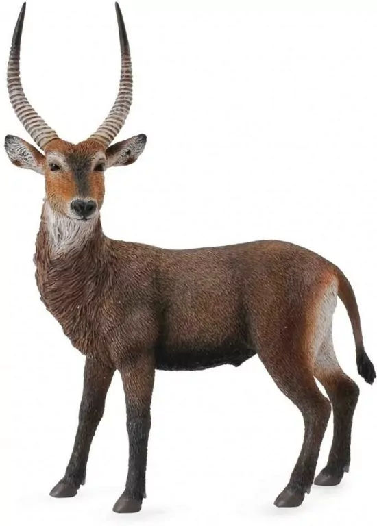 Antylopa Waterbuck L - tantis.pl
