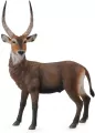 Antylopa Waterbuck L - tantis.pl