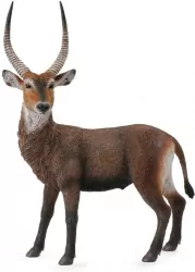 Antylopa Waterbuck L